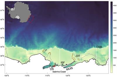 Eddy and tidal driven basal melting of the Totten and Moscow University ice shelves